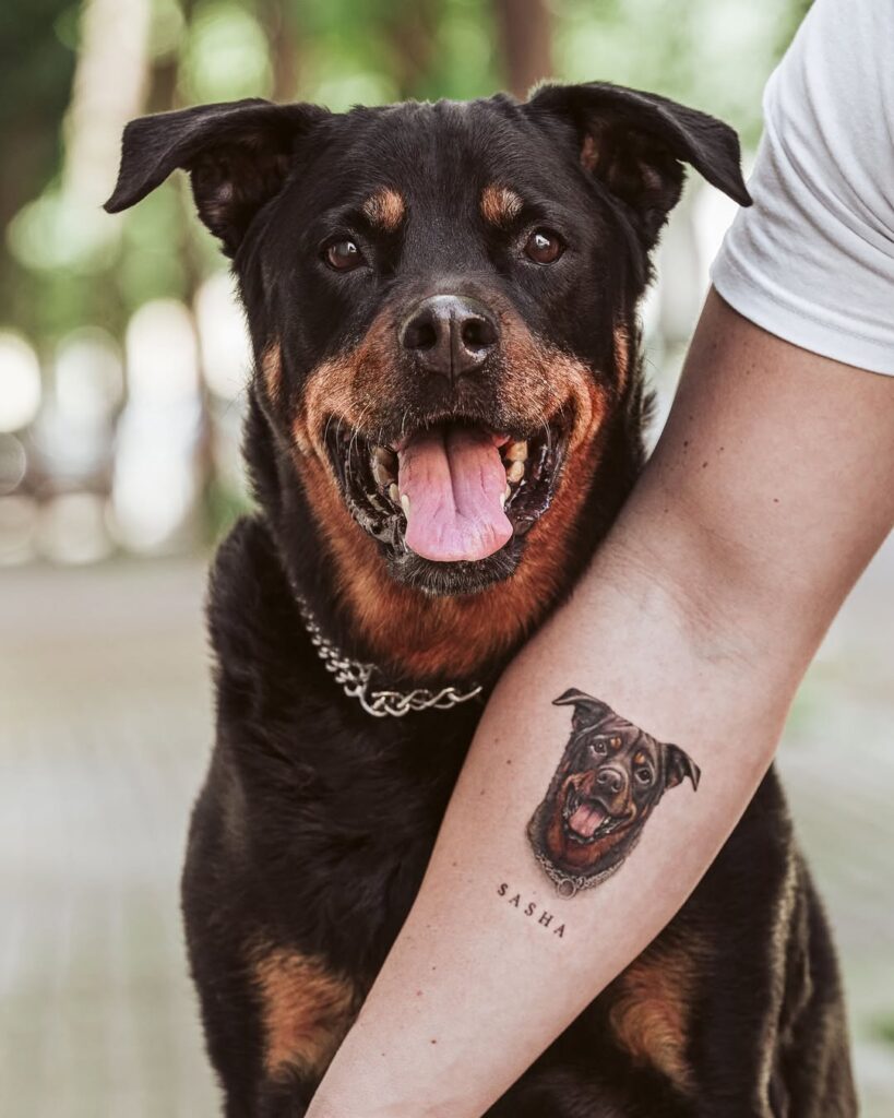 Tatuaje personalizado de perro Rottweiler llamado Sasha en línea fina y realismo, junto al modelo original